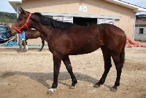 ����� (DAESAHEON) ����