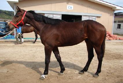 ����� ����