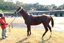 �غ� (GEUKBOK) ����