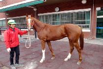 �ο��д� (ROYAL BUNDANG) ����