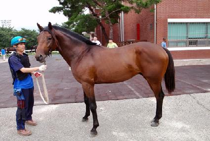 ��ǳ ����