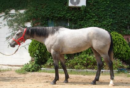 ���̽���� ����