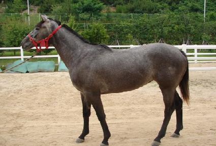 �Ծ����� ����