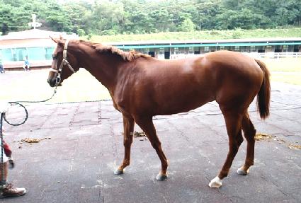 ����ź�� ����