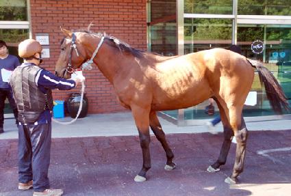 ���Ž�ȭ ����