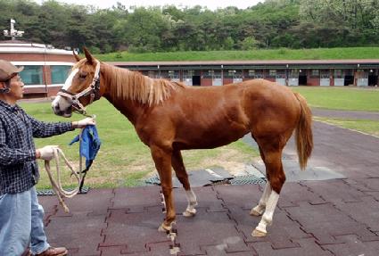 ������� ����