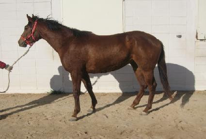 ��µ�� ����