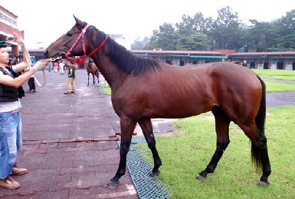 ��º��丮 ����