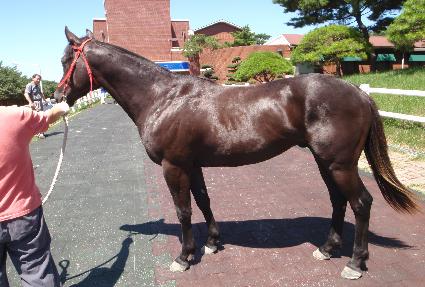 ��½� ����