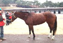 ��º�� (RAON BISANG) ����