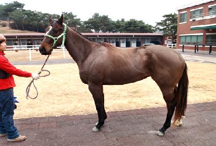 ���ȣ�� ����