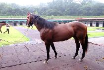 ��¸��� (RAON LEADER) ����