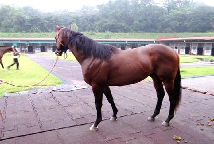 ��¸��� ����