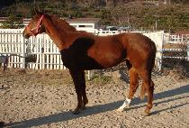 ��¿��� (RAON EZER) ����