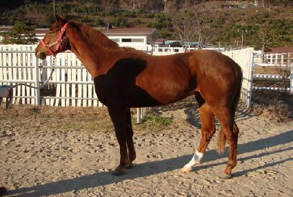 ��¿��� ����