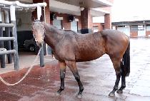 ���丮����Ŀ (VICTORY MAKER) ����