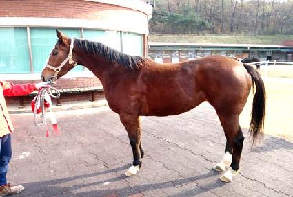 ����Ǯ���� ����