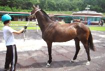 �ع� (HAEMIL) ����