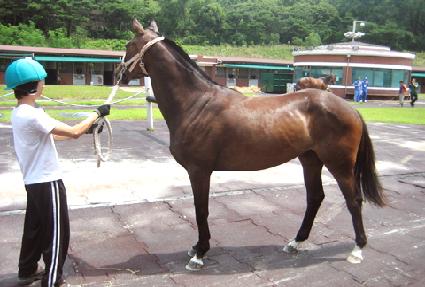 �ع� ����