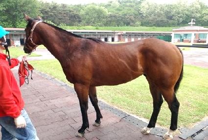 �̽��ͽ����� ����