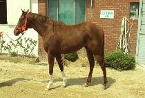 ��������� (MYONGSEO HERO) ����