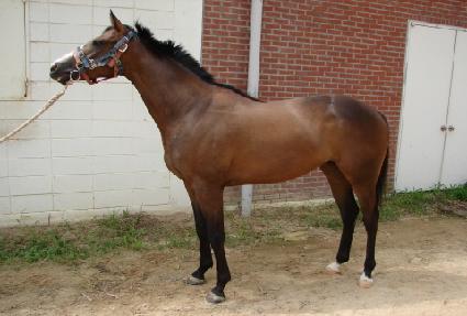 ��ٿ� ����