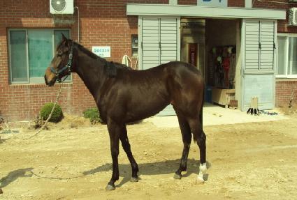 �ݵ� ����