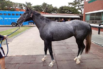 ���ɾ� ����