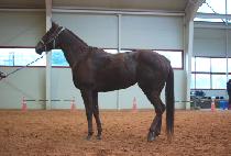 �׷�����Ʈ (GRAND HEART) ����