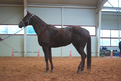 �׷�����Ʈ ����