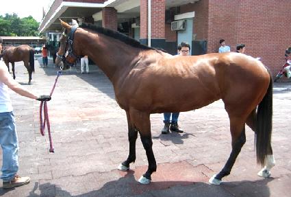 �׷������� ����