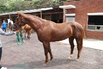 TAEYANGUI BYEOL picture