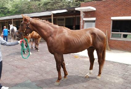 �¾��Ǻ� ����