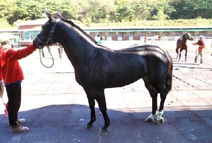 �ƽøؽ��ǵ� ����