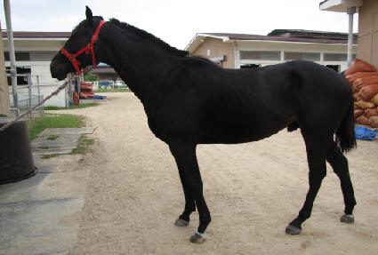 ���̾ڳѹ��� ����