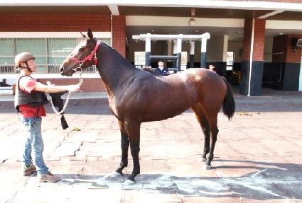 �Ű��� ����