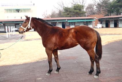 ����Ʈ���� ����