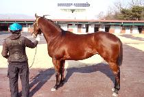 ����ķ�� (YAJEON CAMP) ����