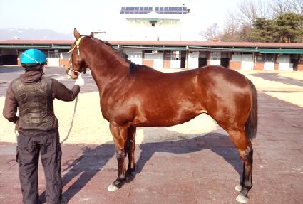 ����ķ�� ����