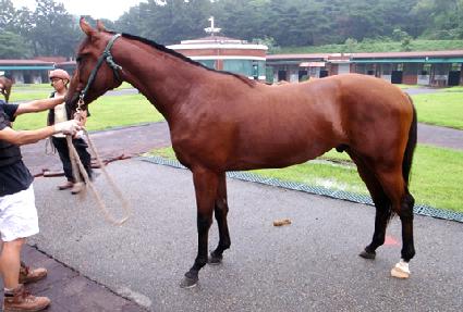 õ���� ����