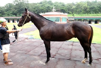 �ֿջ� ����