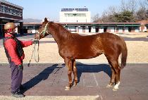 ��õ���� (GWACHEON MYEONGGA) ����