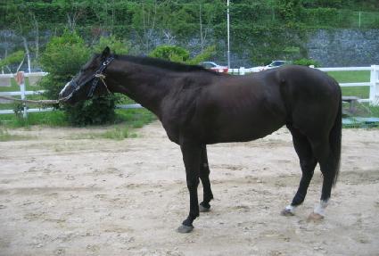 ���̽�����Ŀ ����