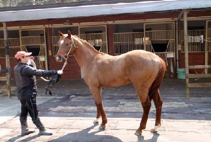 �Ӹ��� ����