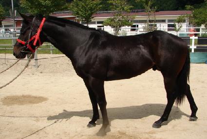 �ż��ϰ� ����