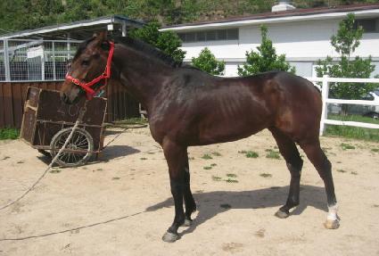 ���׸� ����