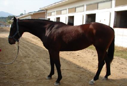 ���� ����