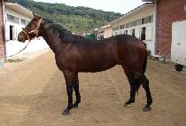 �ΰ�帲 (BUGYEONG DREAM) ����