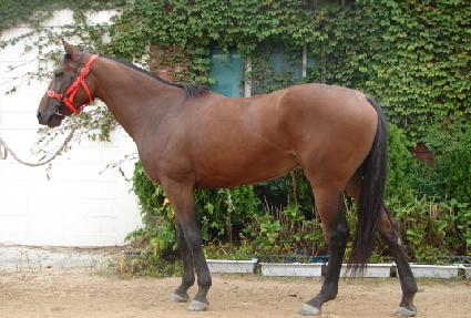 ��ī�̹� ����