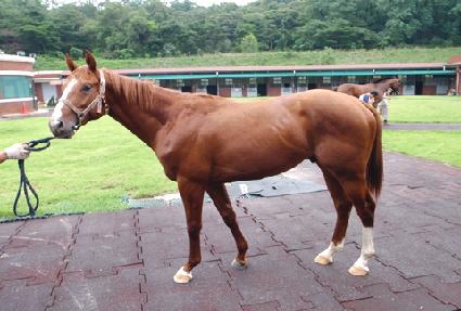 ������ ����